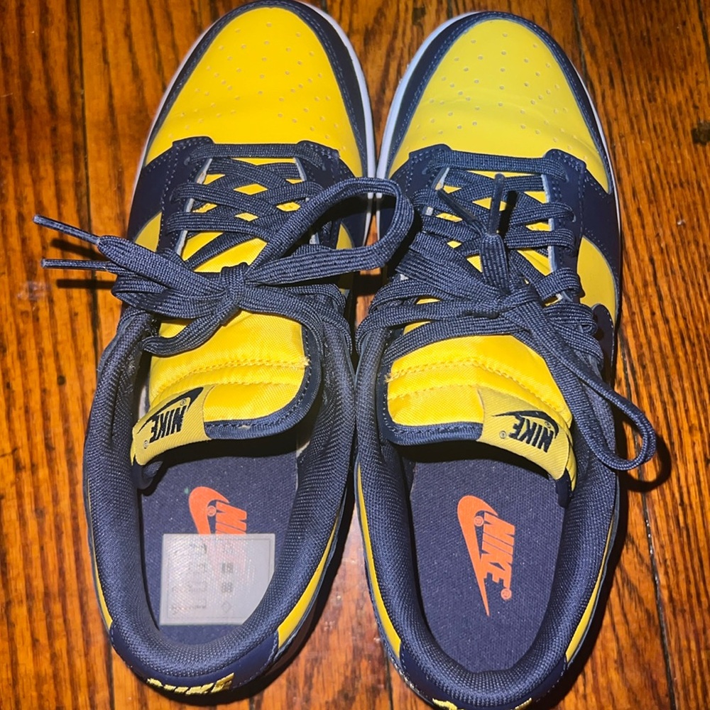 Authentic Nike Men dunk 8.5